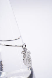 Anello Anatomia