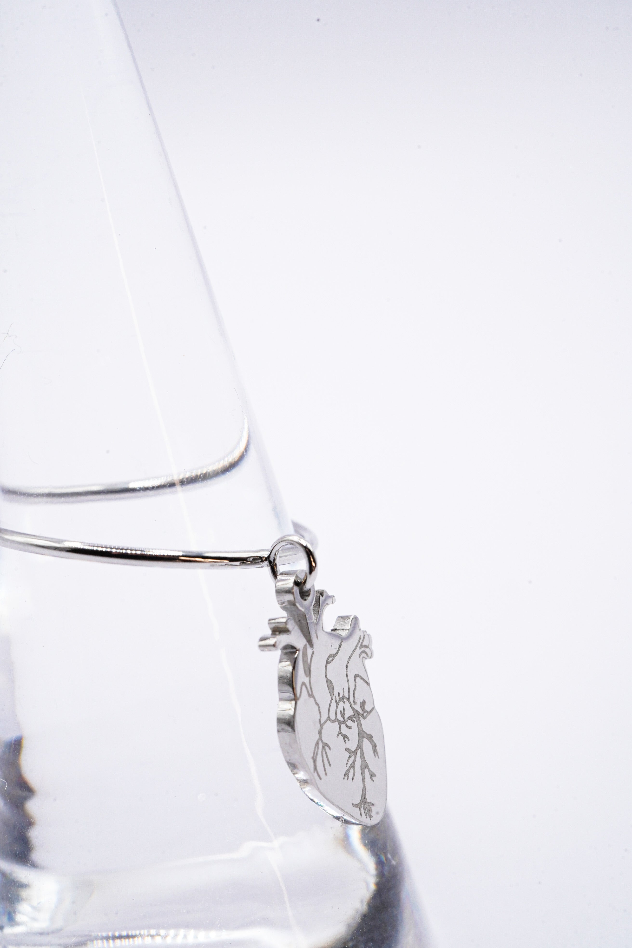 Anello Anatomia
