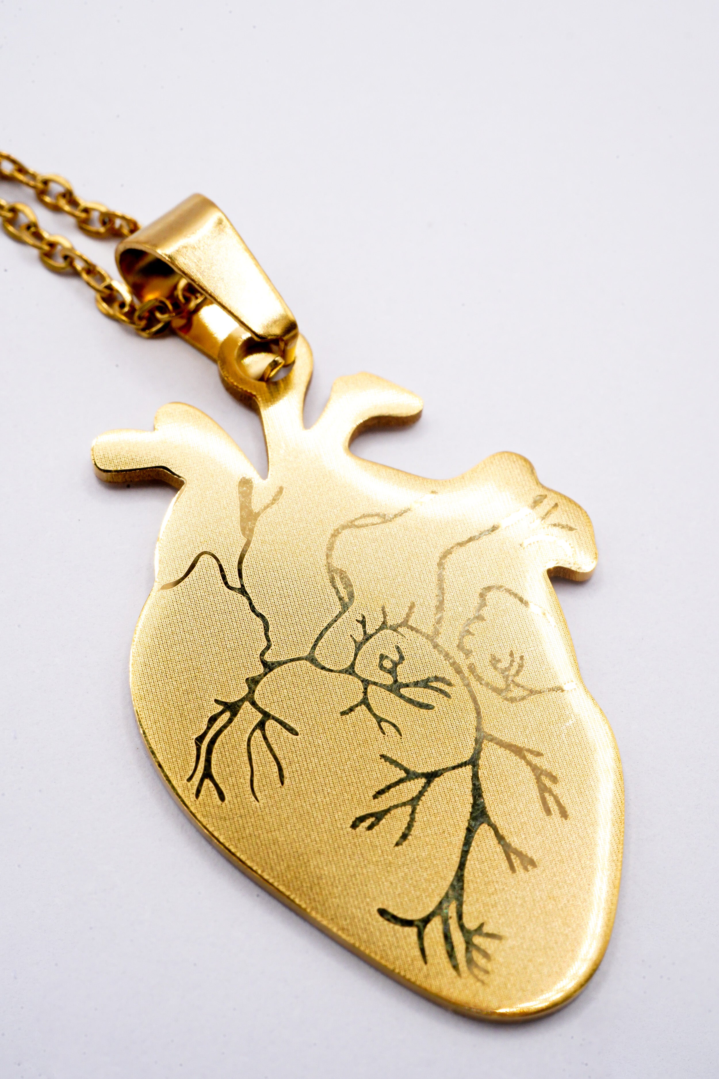 Collana Anatomia