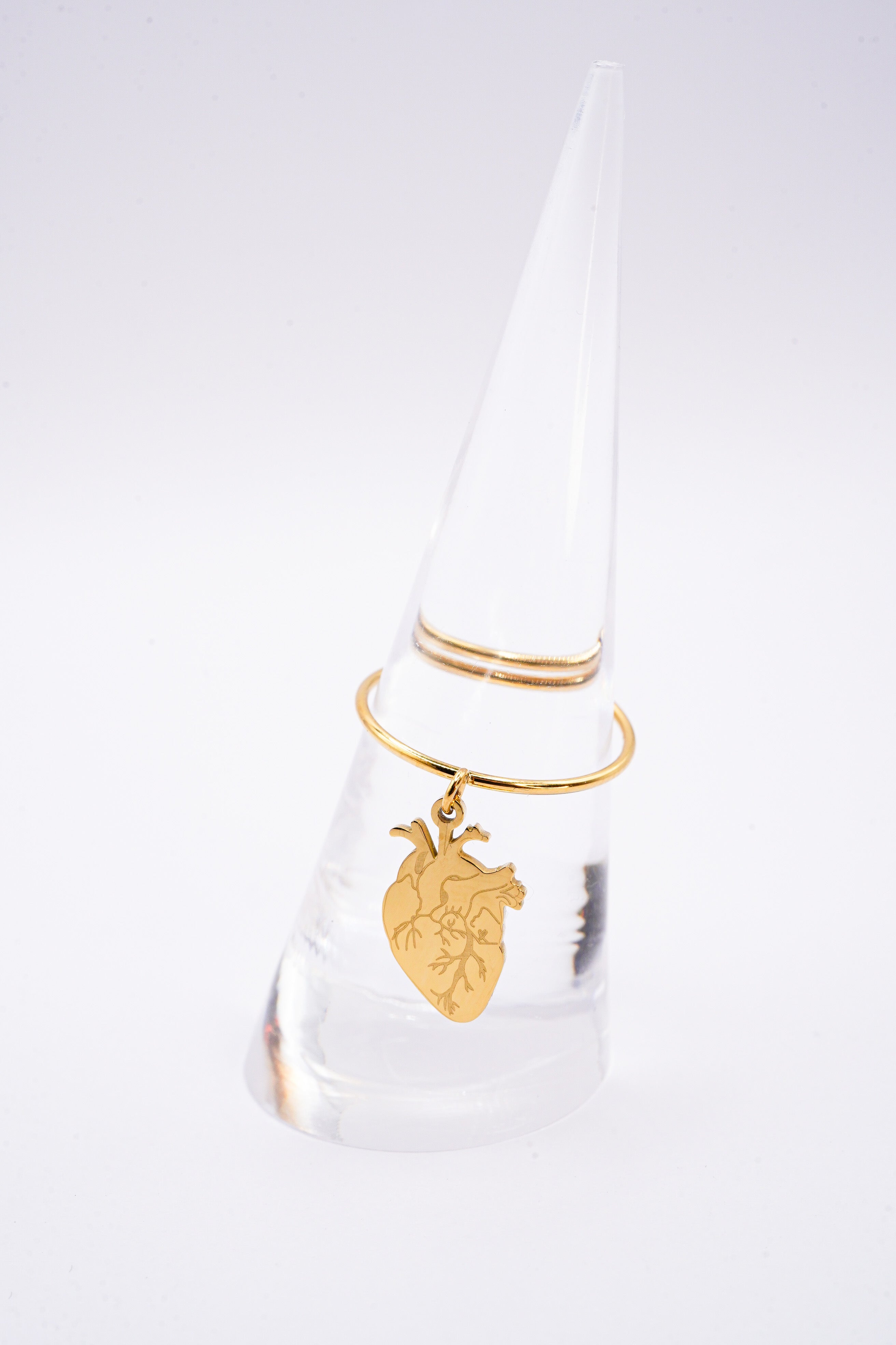 Anello Anatomia