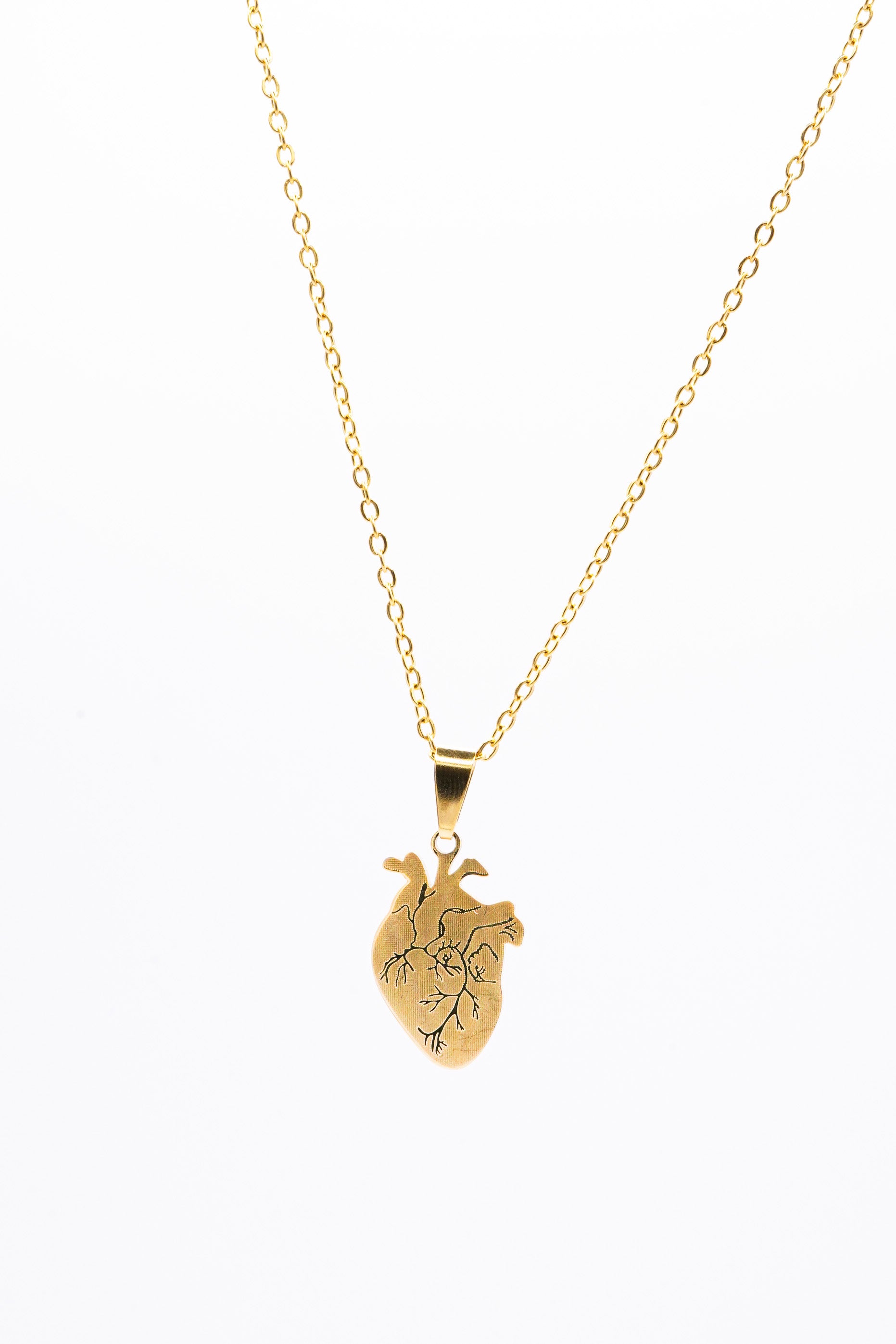 Collana Anatomia baby