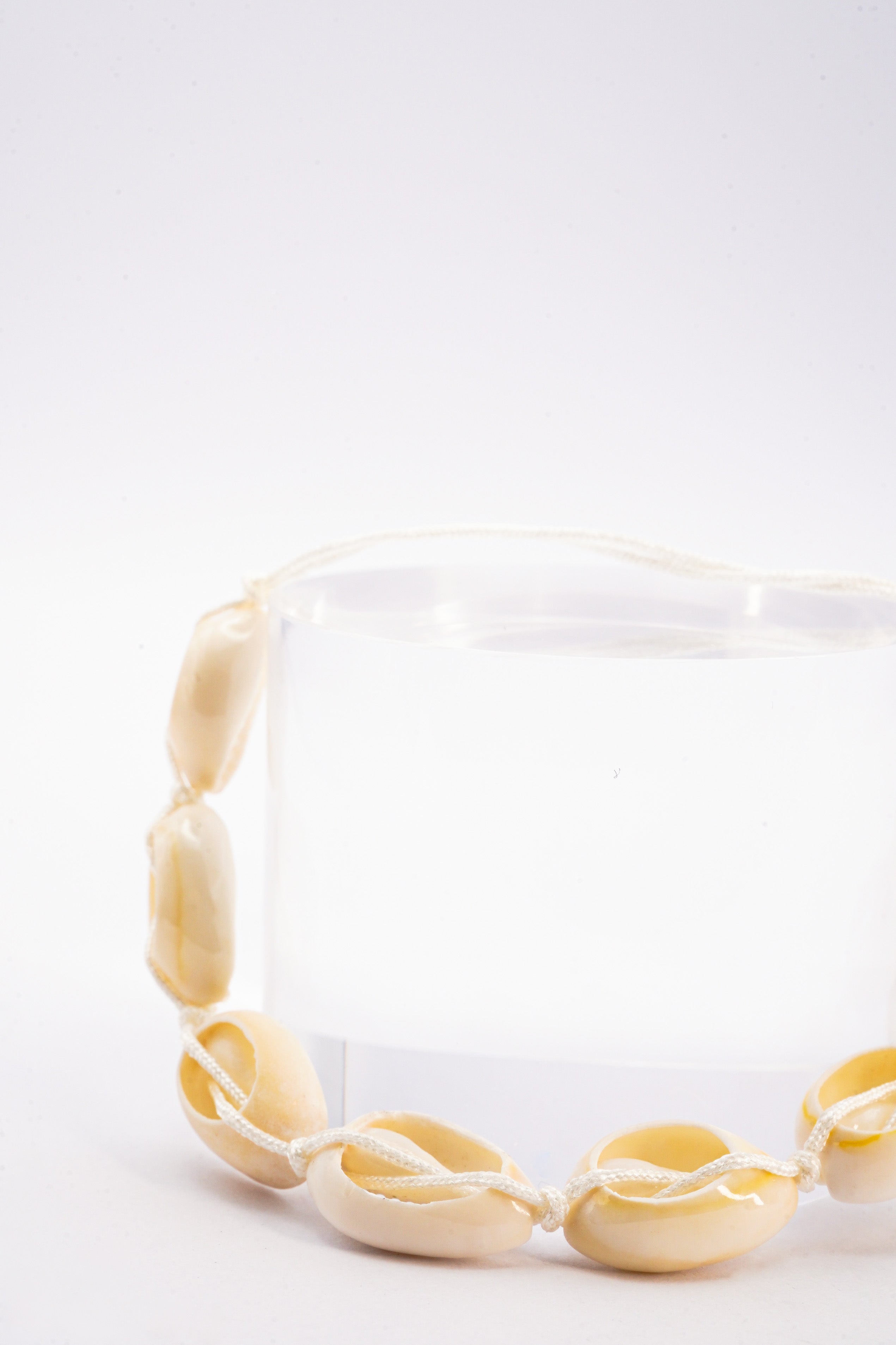 Shell Bracelet