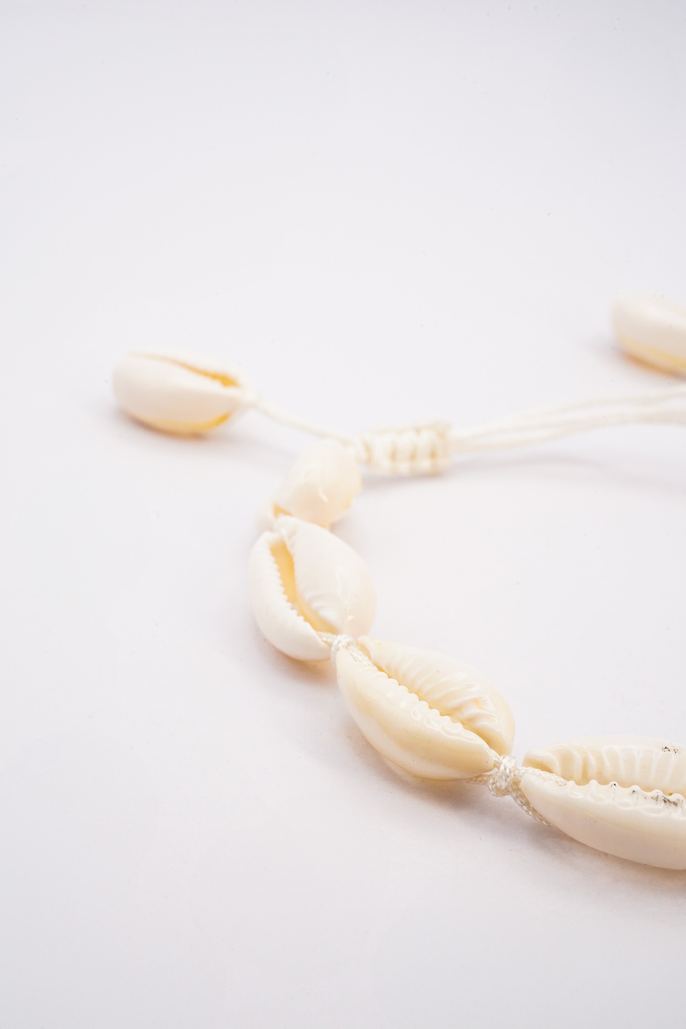 Shell Bracelet