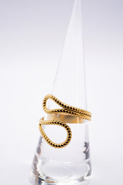 Anello Fulcro