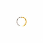 Anello bicolore oro e argento su sfondo bianco