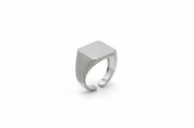 Anello Sigillo Granulato Argento - Landscape