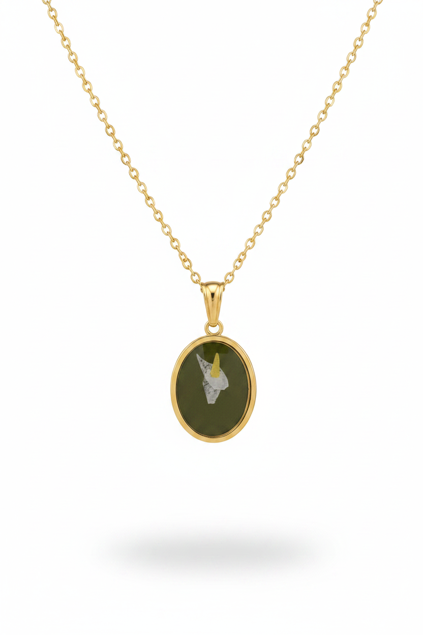 Collana 648