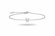 Gattino argento