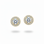 Orecchini Halo Gold - Fondo Bianco