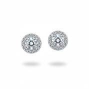 Orecchini Halo Silver - Fondo Bianco