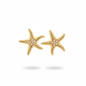 Orecchini stella marina oro